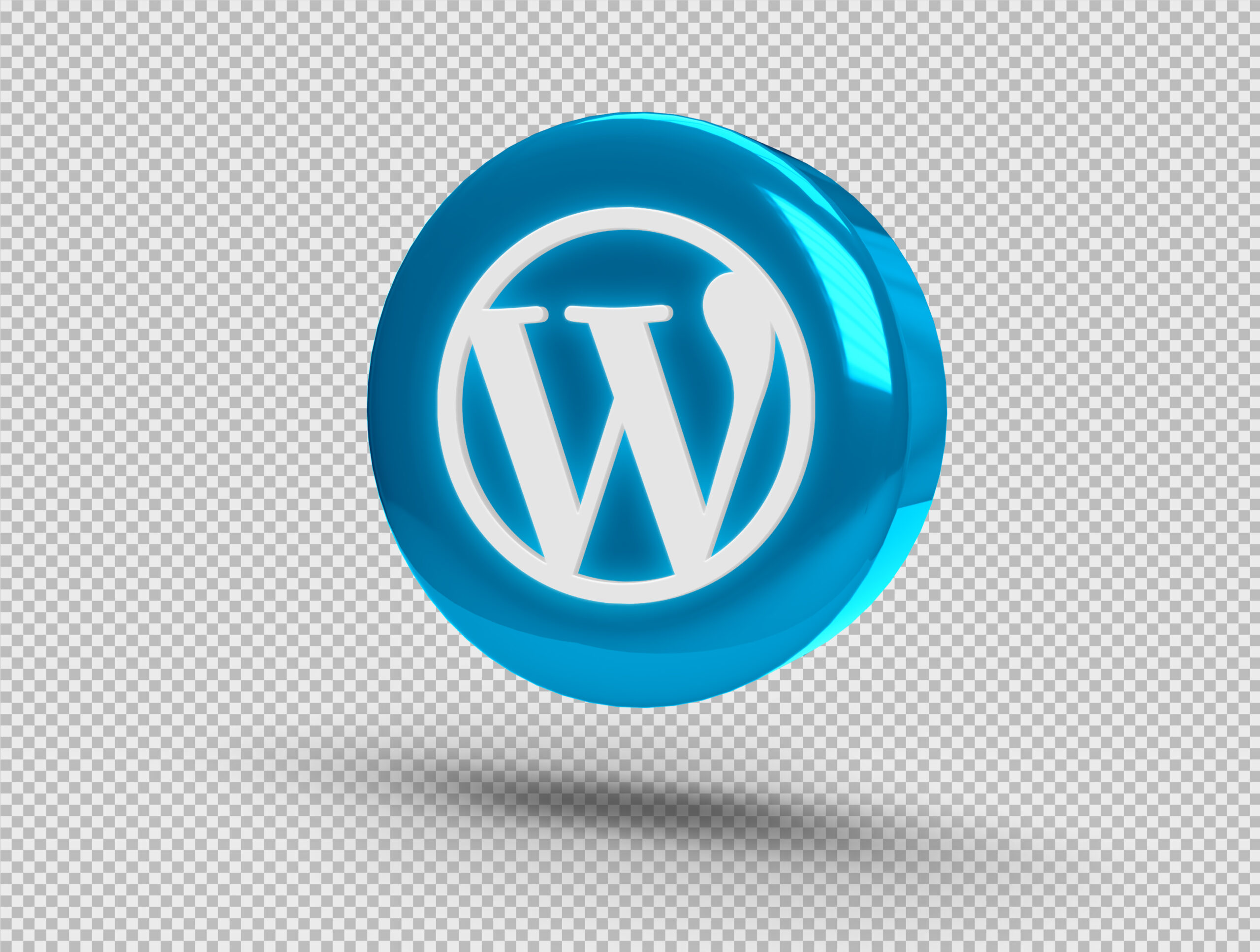 WordPress